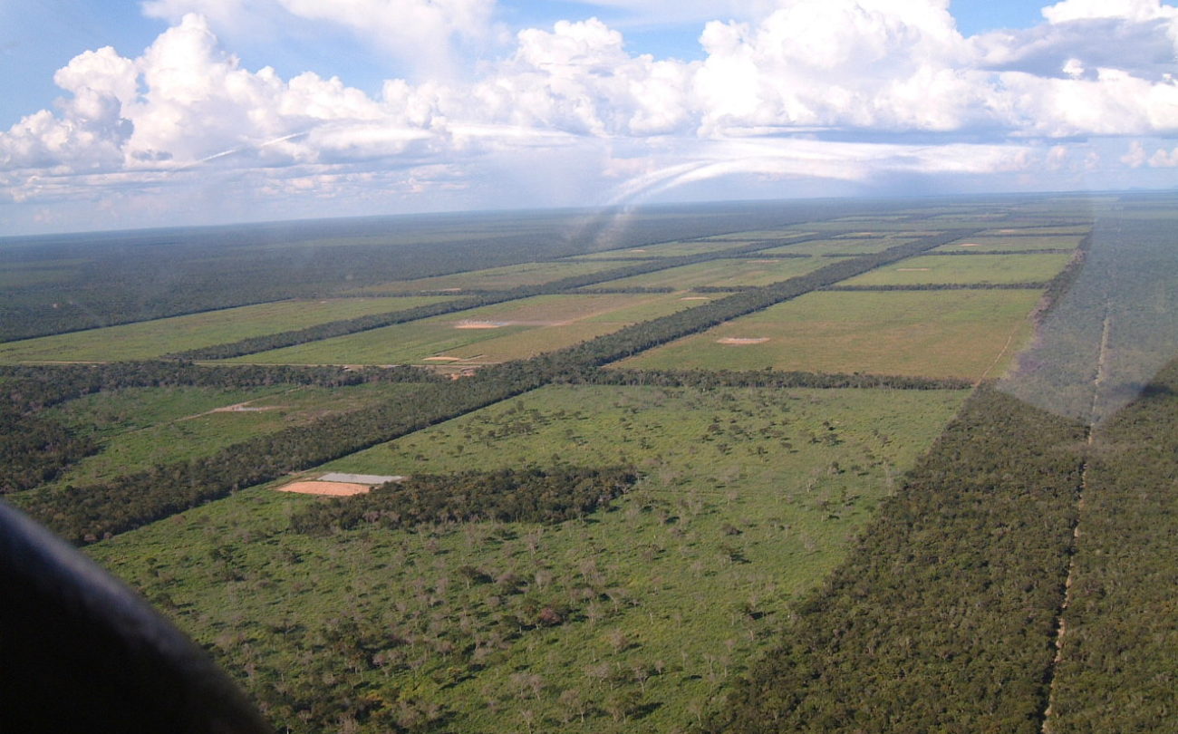 Wir brauchen ein Lieferkettengesetz, denn: BMW verwendet Leder, für das in Paraguay Wälder zerstört werden